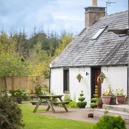 Cosy & Rustic Retreat - Woodland Cottage. Nairn Buitenkant foto