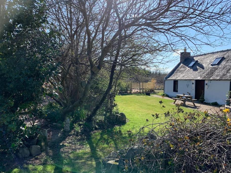 Cosy & Rustic Retreat - Woodland Cottage. Nairn Buitenkant foto