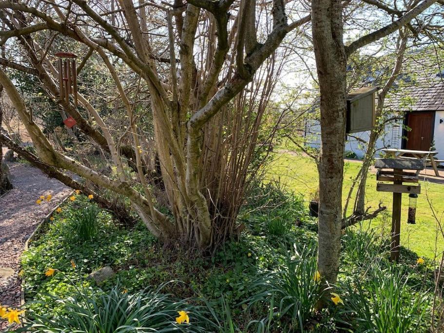 Cosy & Rustic Retreat - Woodland Cottage. Nairn Buitenkant foto