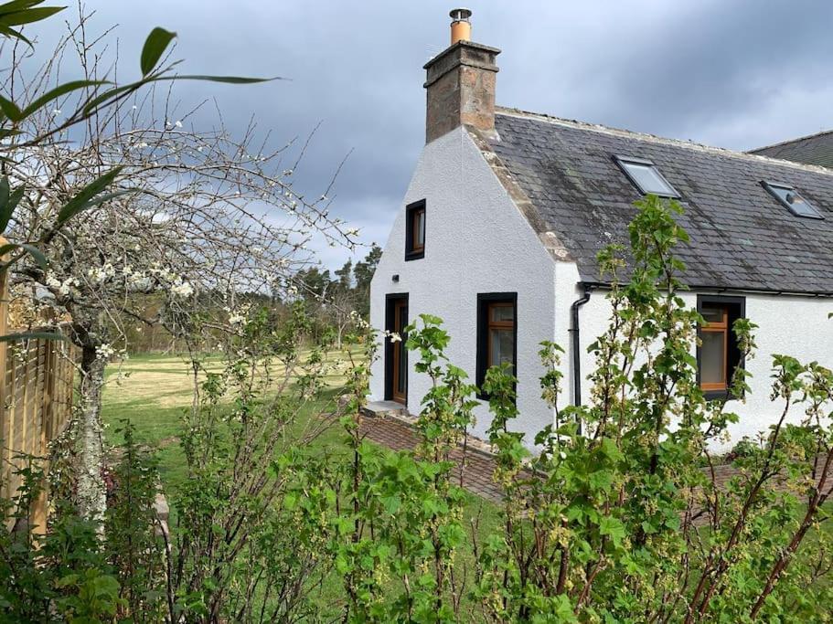 Cosy & Rustic Retreat - Woodland Cottage. Nairn Buitenkant foto